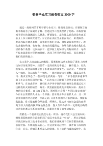 销售毕业实习报告范文3000字