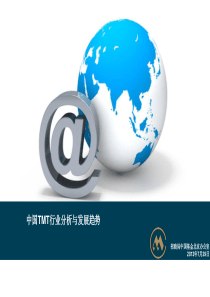 中国TMT行业分析与发展