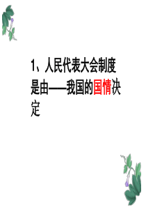 13适合国情的政治制度复习课件