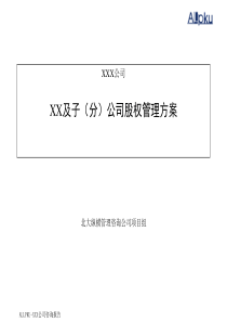 X公司及子（分）公司股权管理方案
