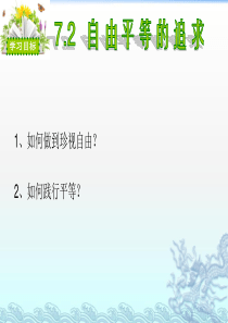 自由平等的追求