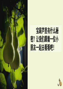 部编四下宝葫芦的秘密(节选)课件--PPT--优质课件