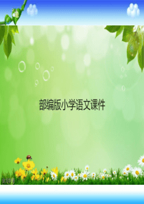 部编版四年级下册语文《“诺曼底号”遇难记》-(共43张PPT)