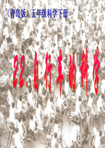 青岛版五年级下册科学《自行车的科学》PPT课件