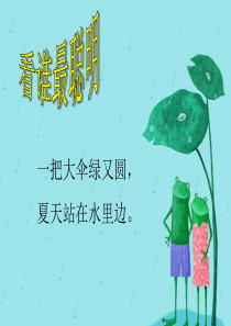 荷叶圆圆公开课PPT