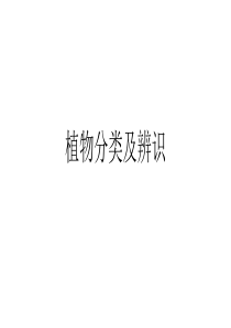 植物分类及辨识(蕨类植物)