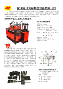 ZSW303B样本