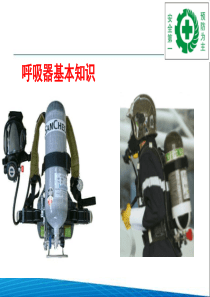 呼吸器基本知识