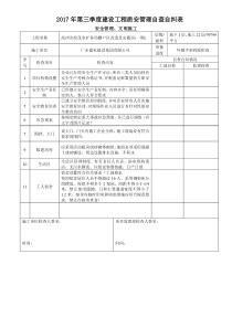 安全自查自纠表