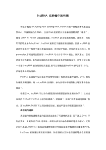 lncRNA-在肿瘤中的作用