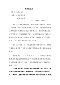 数的发展史-论文