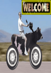 Unit-3-----A-taste-of-English-humour-课件