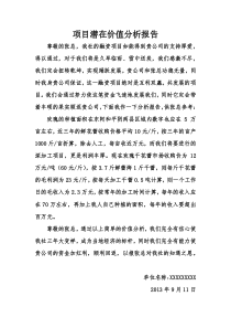 项目潜在价值分析报告