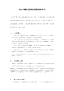小红书爆红背后的营销策略分析