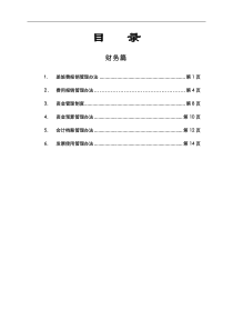 370917--黑龙江金安集团财务管理办法--水流深