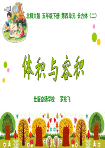 (公开课)新北师大版-小学数学-五年级下册-第四单元-体积与容积课件