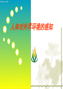 《人体对外界环境的感知》PPT课件