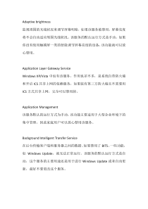 Win7-可以禁止的服务