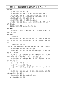 六年级下册科学第二单元教案