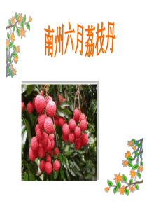 南州六月荔枝丹课件
