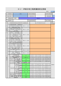 井室分项工程质量验收记录表