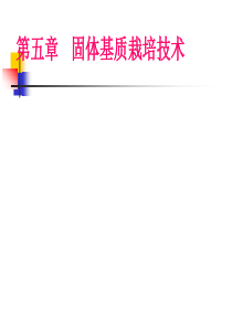 基质栽培技术上课