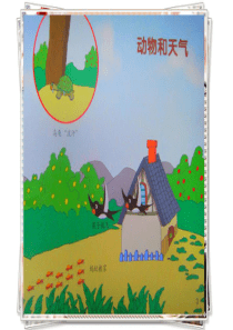 大班科学动物和天气