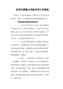 防范化解重大风险专项工作报告