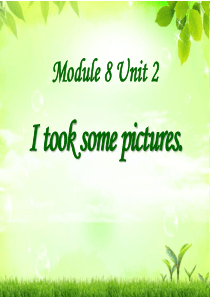 《I-took-some-pictures》PPT课件-(共32张PPT)