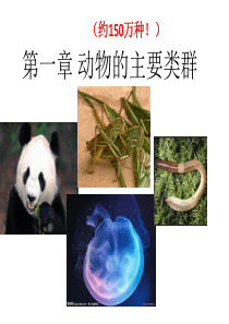 (复习)第一章动物的主要类群