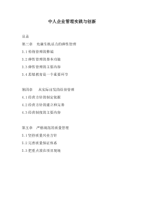 中人企业管理实践与创新（DOC 39）