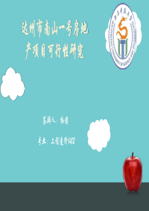 房地产可行性研究南山一号项目毕设答辩
