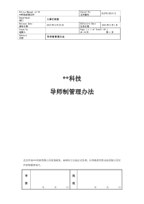 XX集团企业导师制管理办法