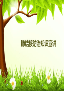 肺结核防治知识ppt课件