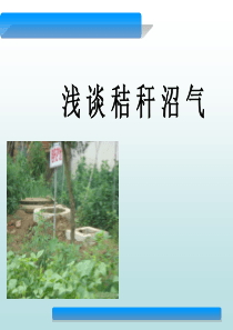 秸秆沼气