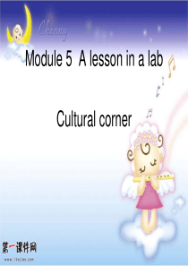 外研版高中英语必修1《Module 5 A Lesson in a Lab》ppt课件