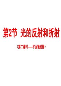 2.5光的反射与折射(2)