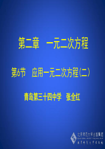 2.6 应用一元二次方程第二课时