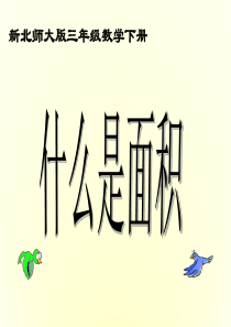 新北师大版小学三年级下册数学《什么是面积》PPT选编