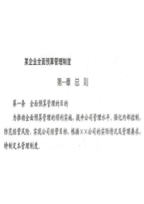 某企业全面预算管理制度