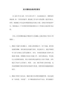财务助理实习期间自我评价报告