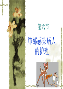 第六节---肺部感染病人的护理