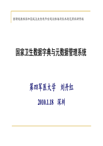 4 国家卫生数据字典与元数据管理系统(深圳)