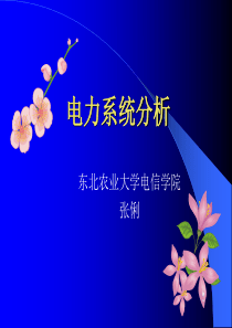 电力系统分析基本概念