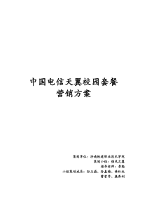 电信营销策划方案