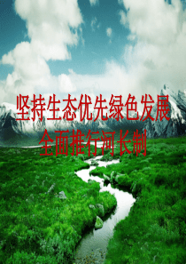 河长制