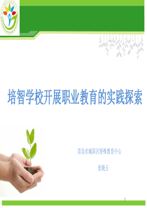 培智学校开展职业教育的实践探索(张晓玉)