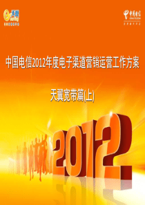 2012年度电子渠道营销运营工作方案-宽带篇