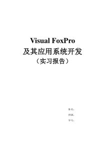 VFP实习报告