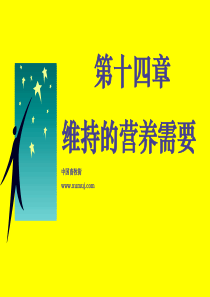 维持的营养需要